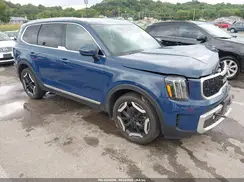 5XYP34GC6RG452863 2024 KIA TELLURIDE