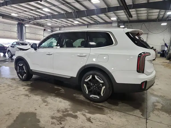 5XYP34GC6RG463765 2024 KIA TELLURIDE - Image 2