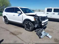 5XYP34GC6RG483174 2024 KIA TELLURIDE