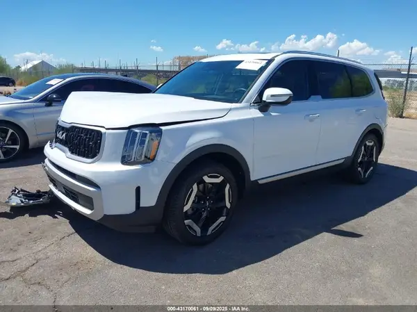 5XYP34GC6RG483174 2024 KIA TELLURIDE - Image 2