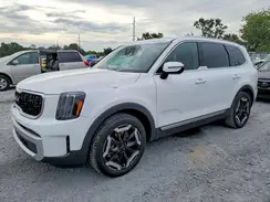 5XYP34GC7RG526517 2024 KIA TELLURIDE