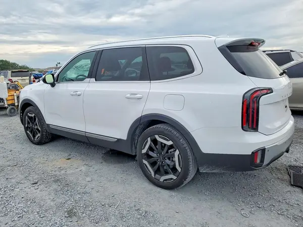 5XYP34GC7RG526517 2024 KIA TELLURIDE - Image 2