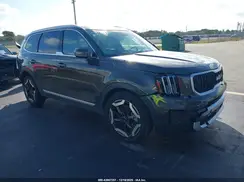 5XYP34GC7RG560702 2024 KIA TELLURIDE