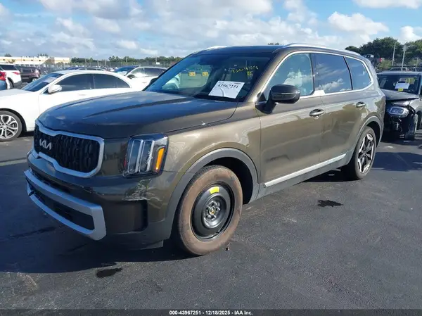 5XYP34GC7RG560702 2024 KIA TELLURIDE - Image 2