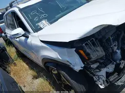 5XYP34GC7SG566683 2025 KIA TELLURIDE