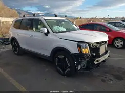 5XYP34GC8RG508513 2024 KIA TELLURIDE