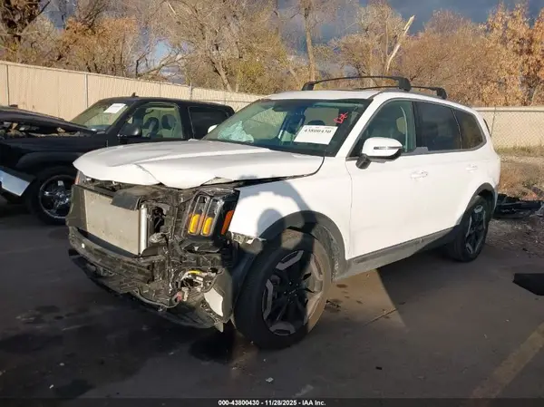 5XYP34GC8RG508513 2024 KIA TELLURIDE - Image 2