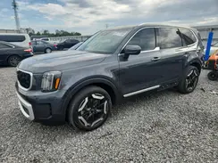 5XYP34GC8RG556027 2024 KIA TELLURIDE