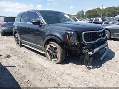 5XYP34GC8SG603546 2025 KIA TELLURIDE
