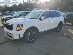 5XYP34GC9RG525966 2024 KIA TELLURIDE