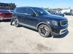 5XYP34GC9RG534828 2024 KIA TELLURIDE