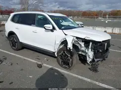5XYP34GCXRG411796 2024 KIA TELLURIDE