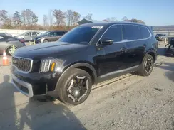 5XYP34GCXRG484327 2024 KIA TELLURIDE