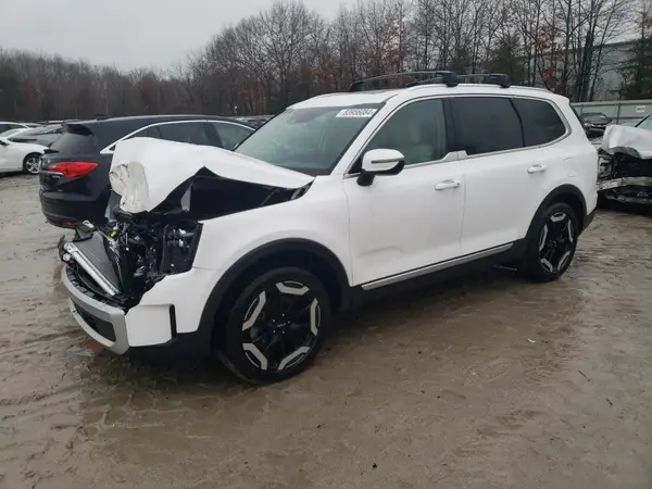 5XYP34GCXRG487275 2024 KIA TELLURIDE - Image 1
