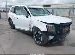 5XYP34GCXRG495604 2024 KIA TELLURIDE
