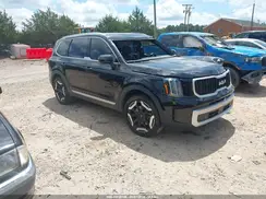 5XYP34GCXRG531954 2024 KIA TELLURIDE