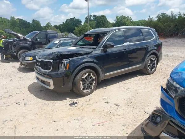 5XYP34GCXRG531954 2024 KIA TELLURIDE - Image 2