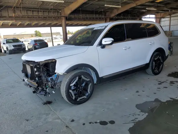 5XYP34GCXRG536636 2024 KIA TELLURIDE - Image 1