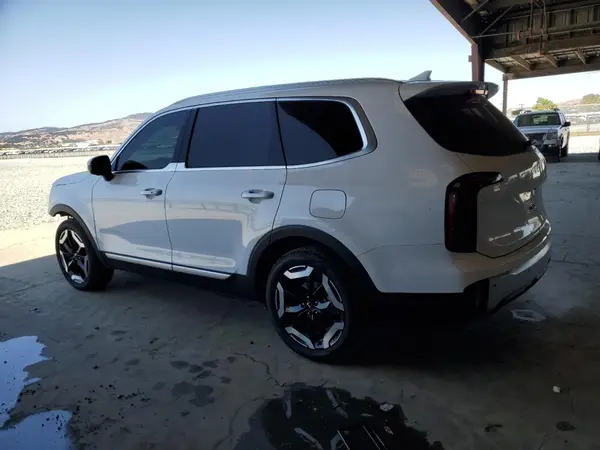 5XYP34GCXRG536636 2024 KIA TELLURIDE - Image 2