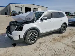 5XYP34GCXRG544686 2024 KIA TELLURIDE