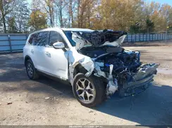 5XYP34HC1LG004245 2020 KIA TELLURIDE