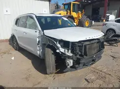 5XYP34HC1LG030523 2020 KIA TELLURIDE