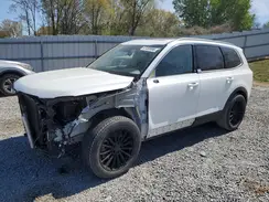 5XYP34HC1LG036743 2020 KIA TELLURIDE