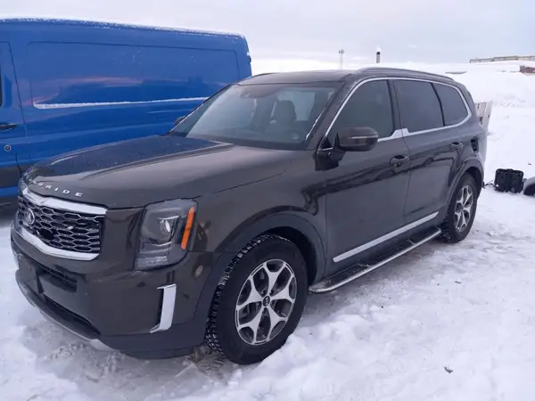 5XYP34HC2LG021491 2020 KIA TELLURIDE - Image 1