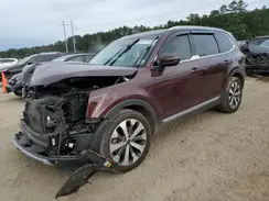 5XYP34HC2LG065510 2020 KIA TELLURIDE