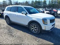 5XYP34HC2NG260767 2022 KIA TELLURIDE