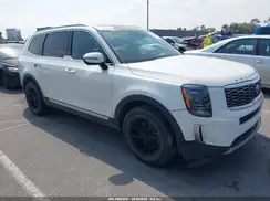 5XYP34HC4LG002246 2020 KIA TELLURIDE