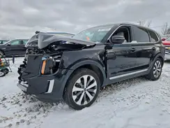 5XYP34HC4MG125398 2021 KIA TELLURIDE