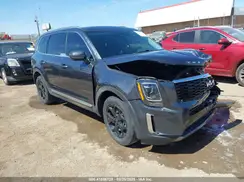 5XYP34HC4NG324338 2022 KIA TELLURIDE
