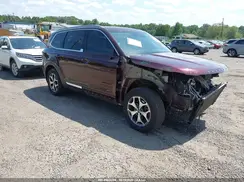 5XYP34HC6LG031148 2020 KIA TELLURIDE