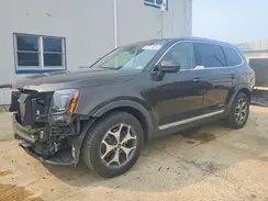 5XYP34HC6LG032946 2020 KIA TELLURIDE