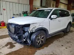 5XYP34HC7LG008753 2020 KIA TELLURIDE