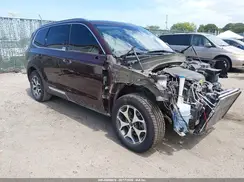 5XYP34HC8LG019938 2020 KIA TELLURIDE