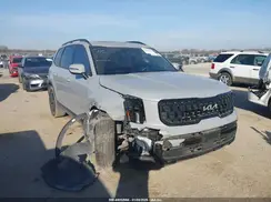 5XYP3DGC0RG417073 2024 KIA TELLURIDE
