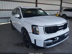 5XYP3DGC0RG440465 2024 KIA TELLURIDE