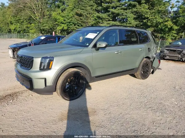 5XYP3DGC0RG447531 2024 KIA TELLURIDE - Image 2