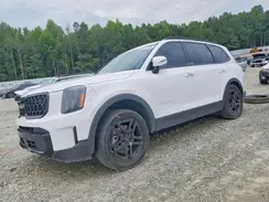 5XYP3DGC0RG447593 2024 KIA TELLURIDE