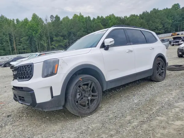 5XYP3DGC0RG447593 2024 KIA TELLURIDE - Image 1