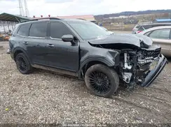 5XYP3DGC0RG495708 2024 KIA TELLURIDE