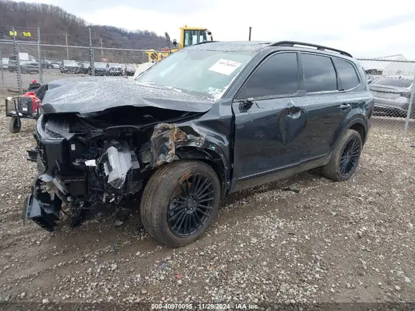 5XYP3DGC0RG495708 2024 KIA TELLURIDE - Image 2