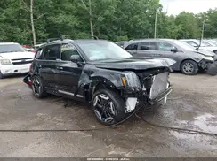 5XYP3DGC0RG524558 2024 KIA TELLURIDE