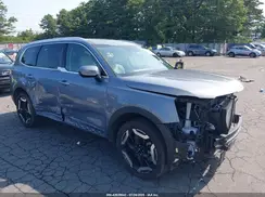 5XYP3DGC0RG524592 2024 KIA TELLURIDE