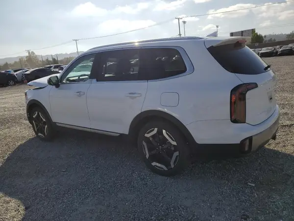 5XYP3DGC0RG556670 2024 KIA TELLURIDE - Image 2
