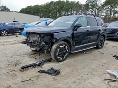 5XYP3DGC0RG556846 2024 KIA TELLURIDE