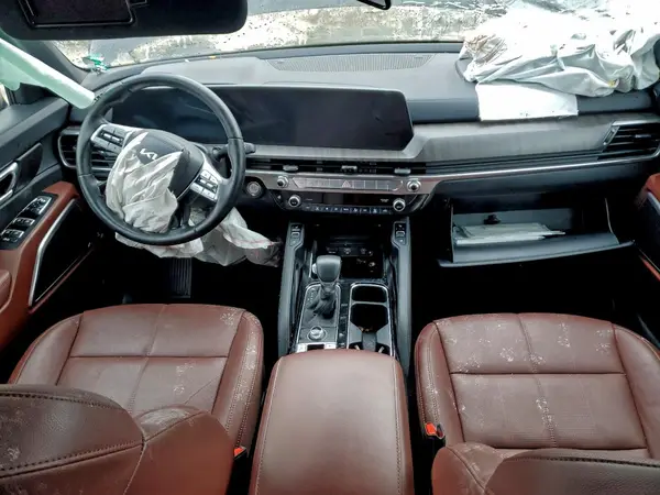 5XYP3DGC0RG556846 2024 KIA TELLURIDE - Image 8