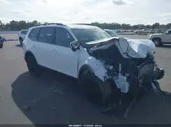 5XYP3DGC0SG602276 2025 KIA TELLURIDE